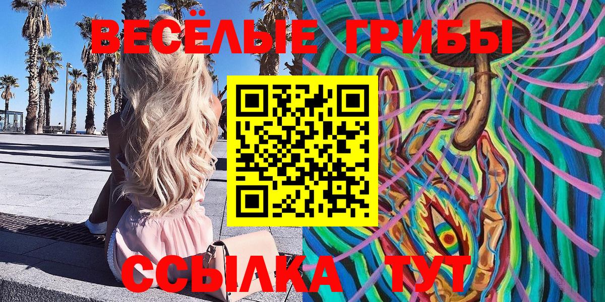 Псилоцибиновые грибы прущие грибы Волхов