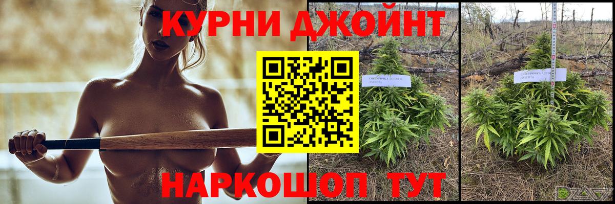 Волхов  МАРИХУАНА LSD WEED  Канабис Ganja  Бошки марихуана план  Вход с VPN  Конопля конопля 